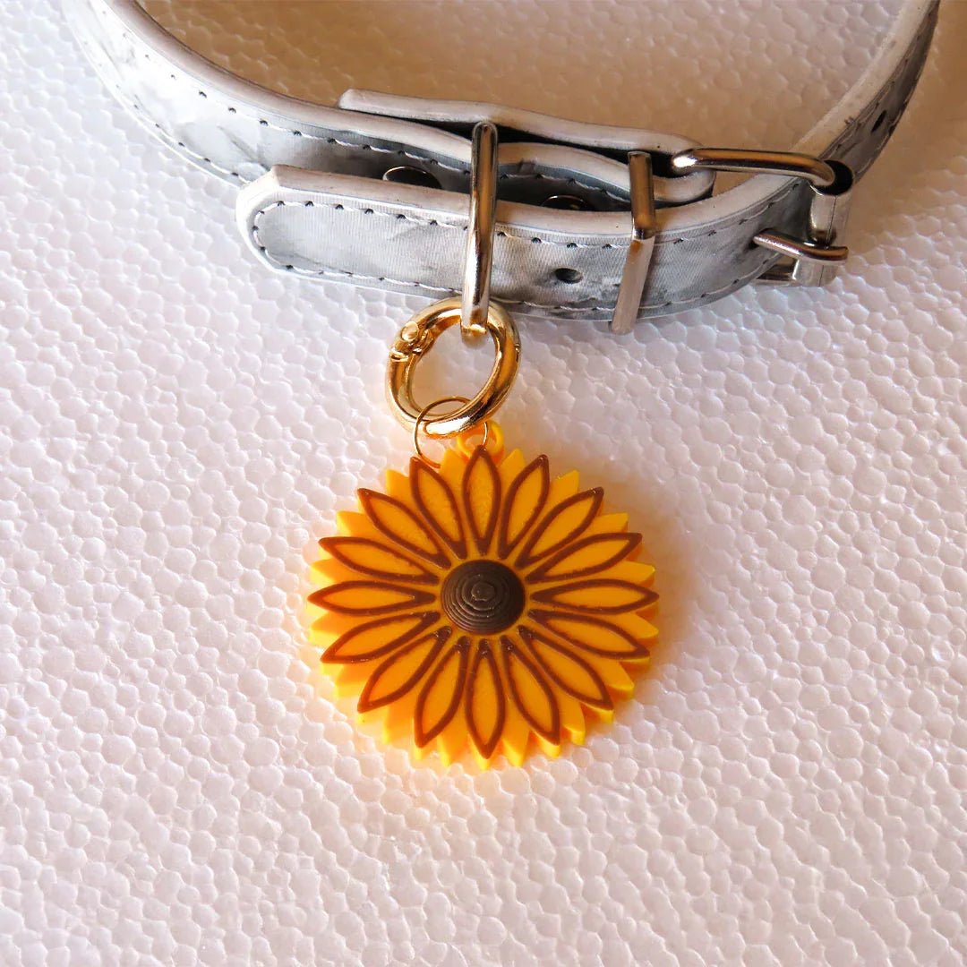 Seguimi – Medaglietta cane girasole personalizzata - Zampettiamo