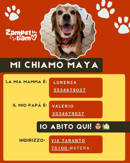 Esempio di carta d'identità digitale di Maya con contatti e informazioni utili