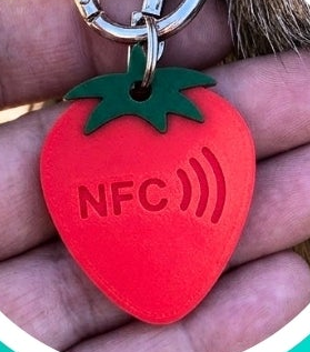 Esempio del retro con chip NFC