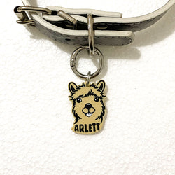 Patrouille Alpaga - Médaillon pour chien