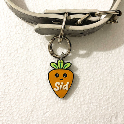 Carota Sprint – medaglietta cane