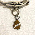 Chicken Drumstick - Dog Tag