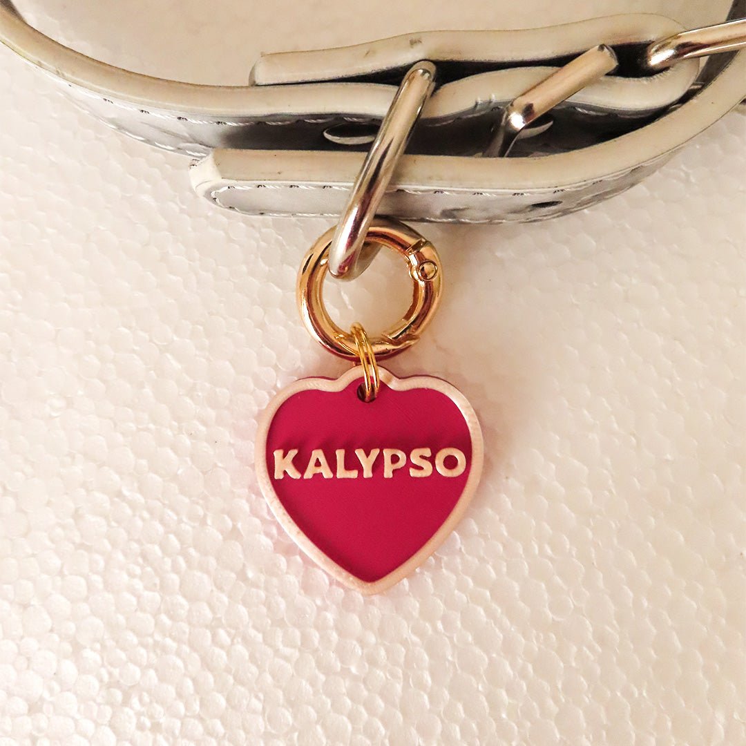 Cuore mio – medaglietta cane - Zampettiamo